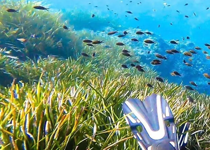 Boulouris, Grand 2 A 4 Personnes A 5min A Pied Des Plages Lejlighed Saint-Raphaël